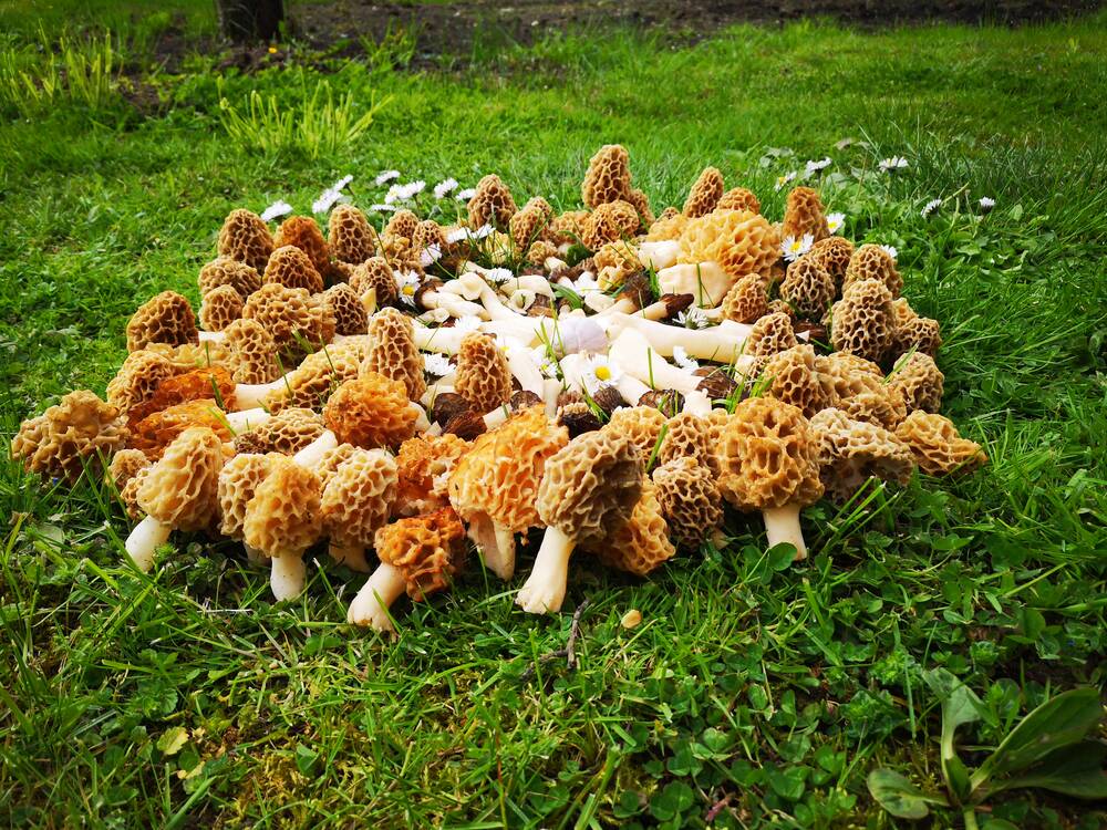 Aktuelles